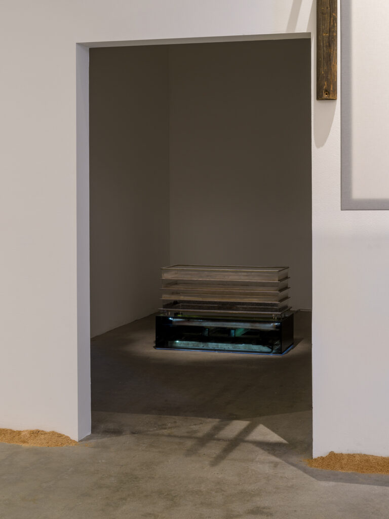 This is a color photograph of two artworks by Lukas Geronimas. The artwork is placed on the floor in a small room and can be seen through an open doorway. The artwork shown in the photo is Airy Copy Lane Chest, a sculptural work with a dimly lit, smoked-plexiglass base containing the elements that failed to be included in the finished version of the object atop the base. The object on top of the base are four tiers of hand-built webbing with puzzle pieces, framed in aluminum and plexiglass and dust. In the foreground in the larger attached room and along the perimeter of the floor and walls is another artwork titled Puzzledust, which is sawdust that was produced, collected and stored by the artist over the past two years