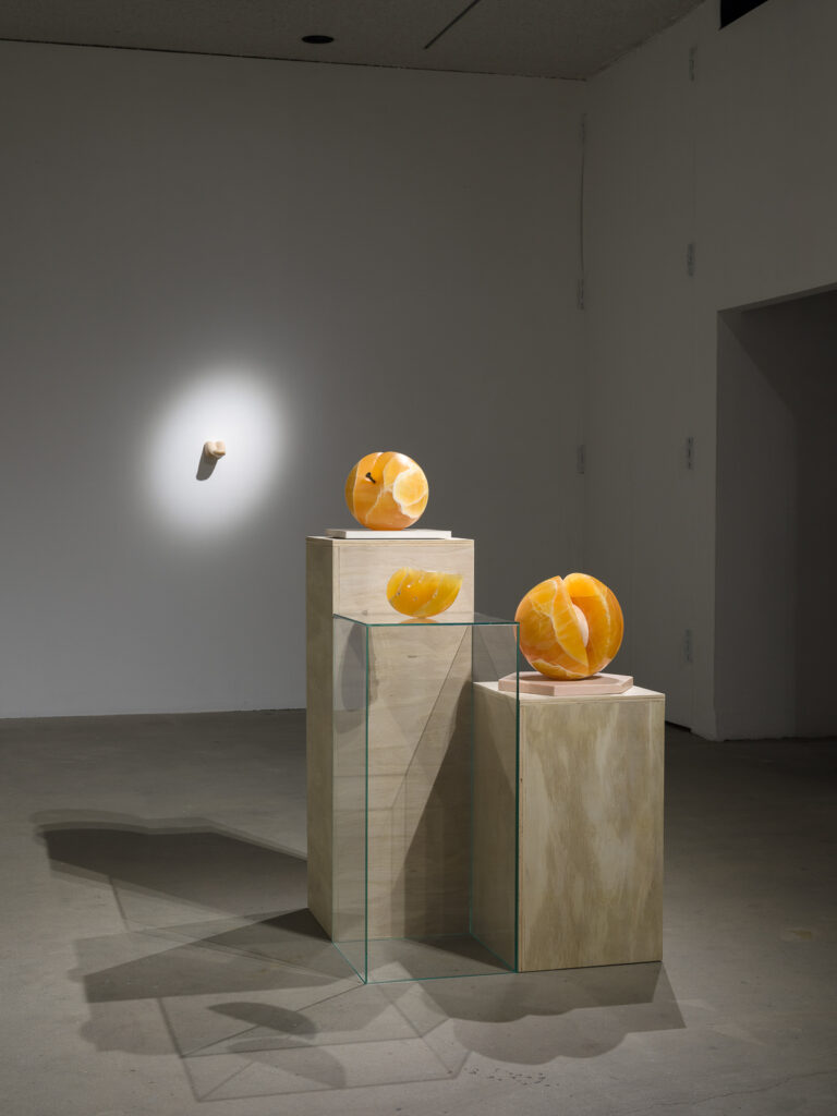 This is a color photograph of four sculptures by Nevine Mahmoud. Three of the sculptures are in the foreground on pedestals (wood and plexiglass), each one made of orange calcite resembling cut or whole peaches. From top to bottom are: Peach Object, Slick Slice and Miss her (peach). In the background mounted on the wall is a flesh toned sculpture entitled Headless, which depicts a human tongue with the tip slightly upturned.